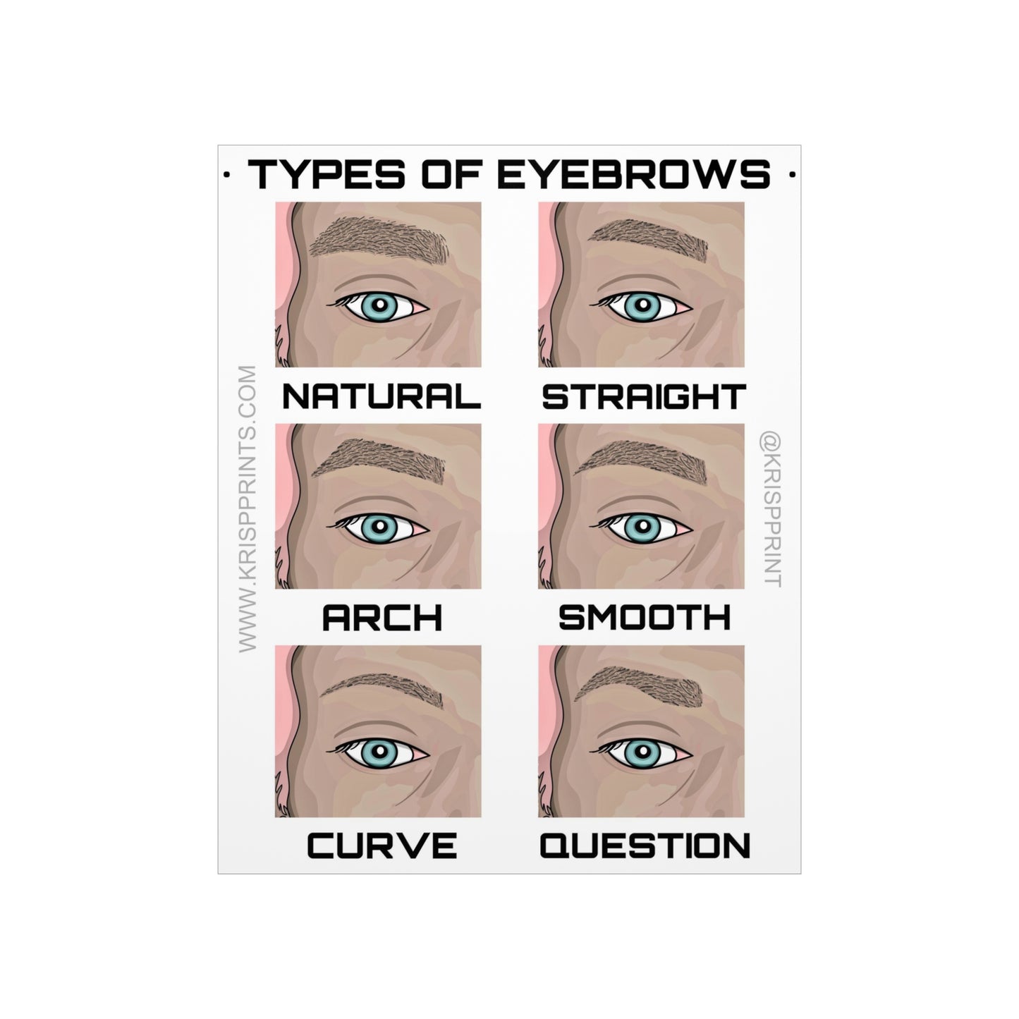 TYPES OF EYEBROWS SHAPE GUIDE
