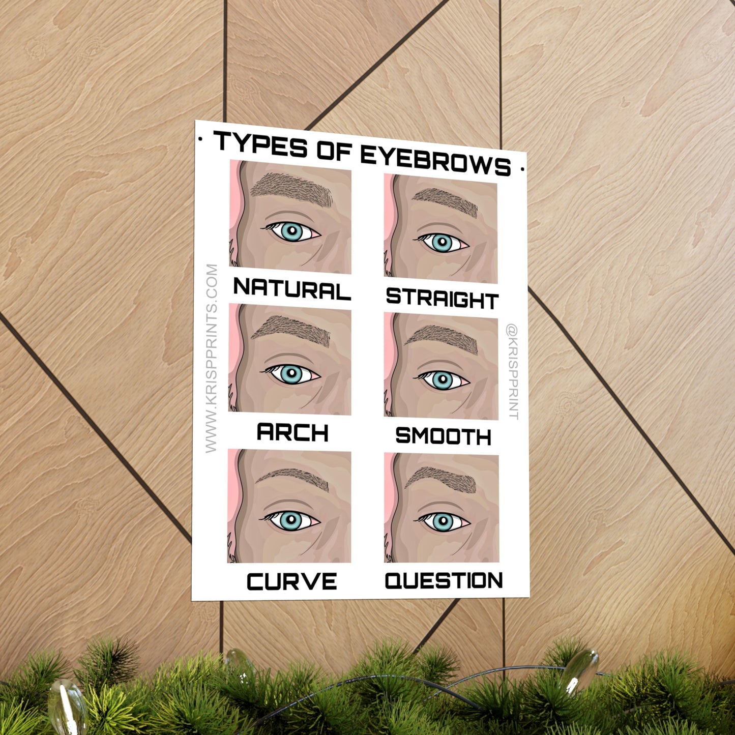 TYPES OF EYEBROWS SHAPE GUIDE