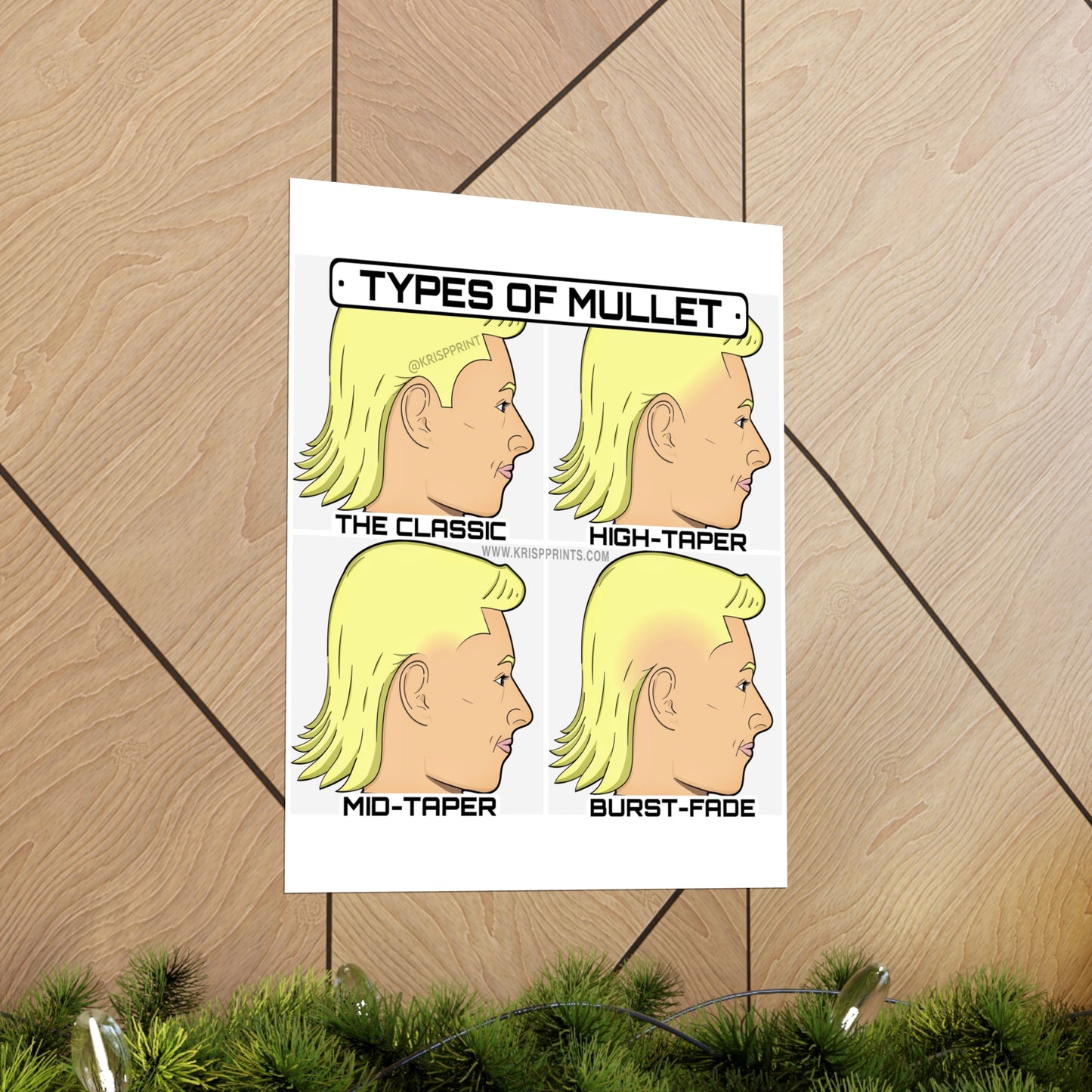 TYPES OF MULLET GUIDE