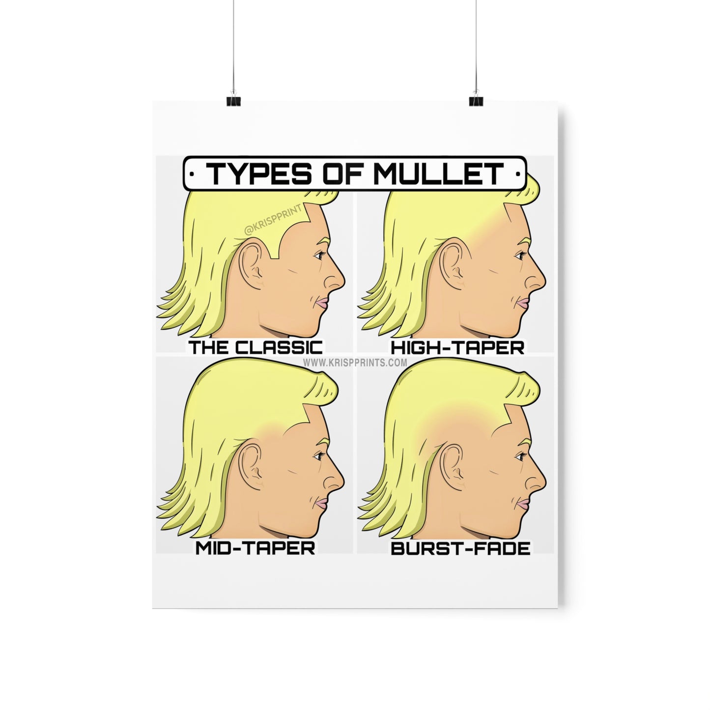 TYPES OF MULLET GUIDE